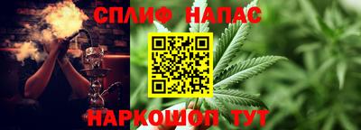 прущие грибы Абинск