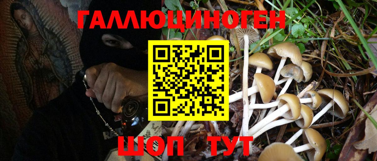 Псилоцибиновые грибы мицелий Апатиты