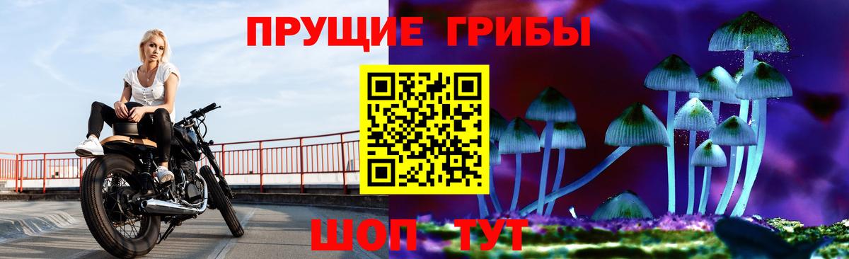 Галлюциногенные грибы GOLDEN TEACHER  Вход с VPN  Апатиты  Галлюциногенные грибы Magic Shrooms 